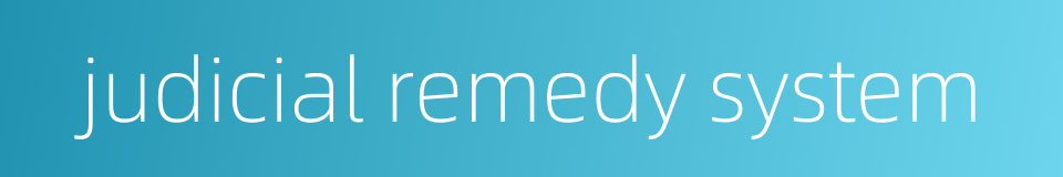 judicial remedy system的同义词