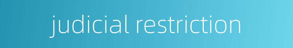 judicial restriction的同义词