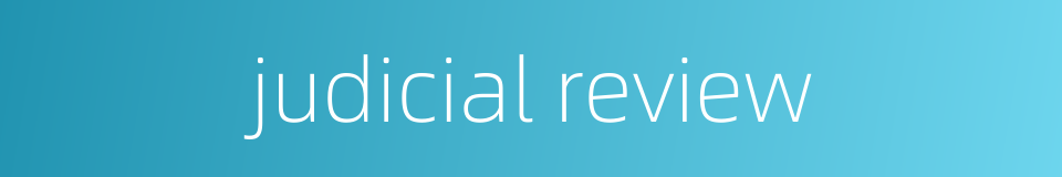 judicial review的同义词