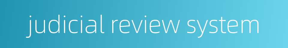 judicial review system的同义词