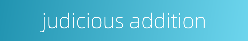 judicious addition的同义词