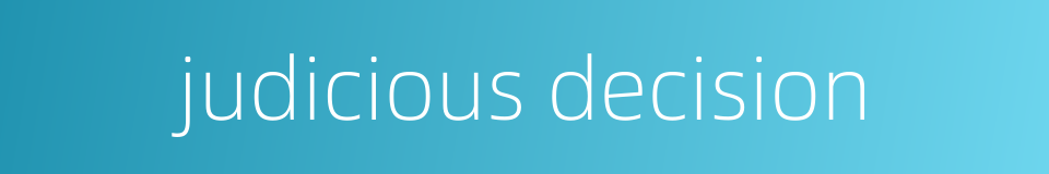 judicious decision的同义词