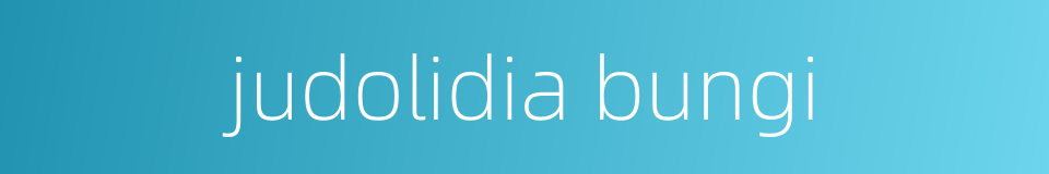 judolidia bungi的同义词
