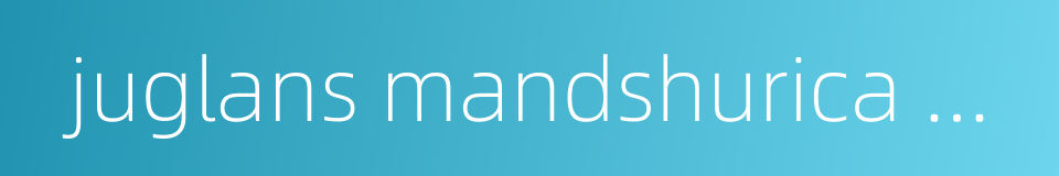 juglans mandshurica maxim的同义词