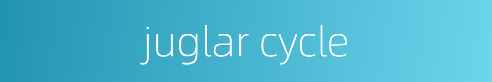 juglar cycle的同义词