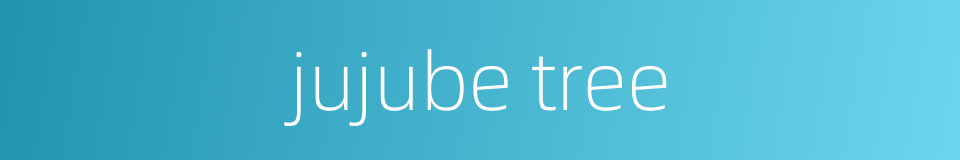 jujube tree的同义词