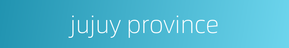 jujuy province的同义词