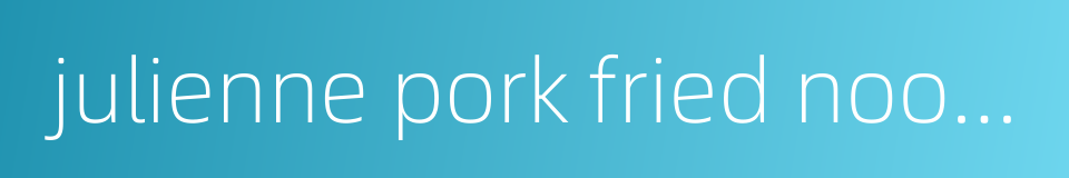 julienne pork fried noodles的同义词