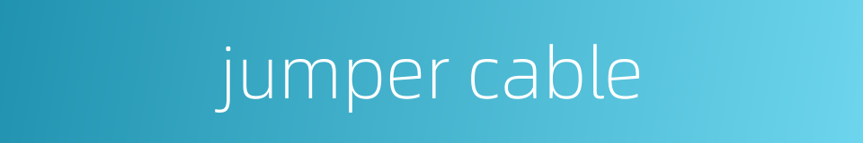 jumper cable的同义词