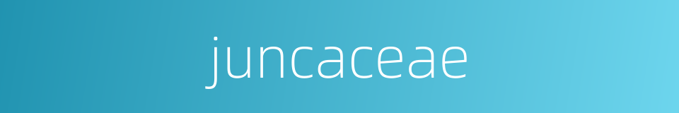 juncaceae的同义词