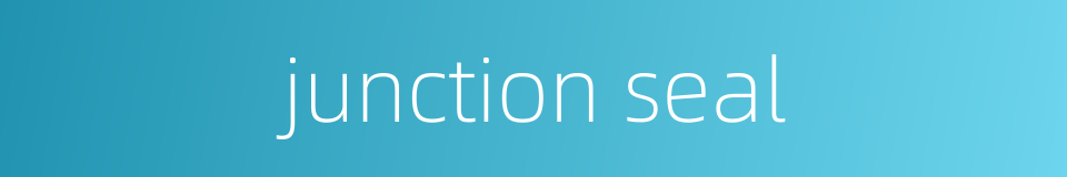 junction seal的同义词
