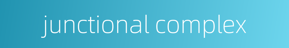 junctional complex的同义词