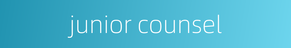 junior counsel的同义词