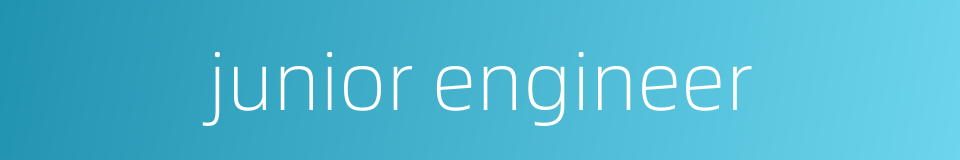 junior engineer的同义词