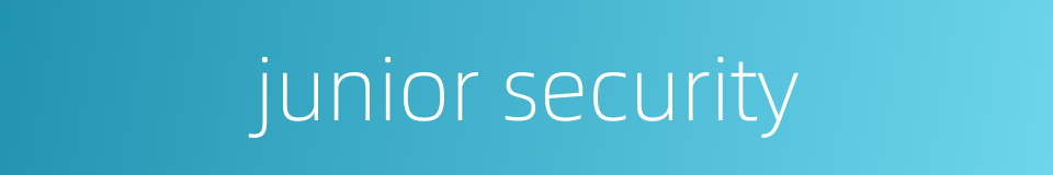 junior security的同义词
