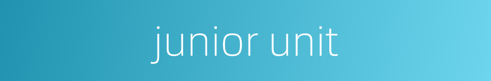 junior unit的同义词