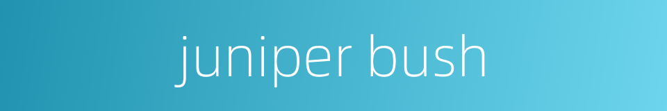 juniper bush的同义词
