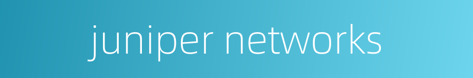 juniper networks的同义词
