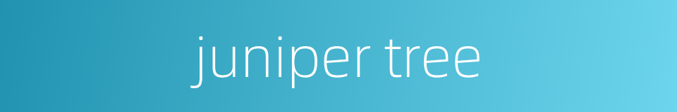juniper tree的同义词