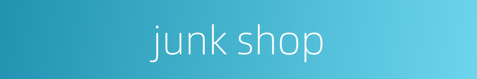 junk shop的同义词
