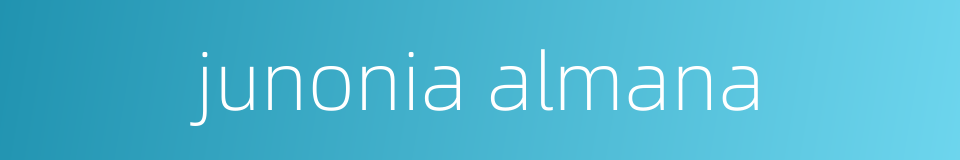 junonia almana的同义词