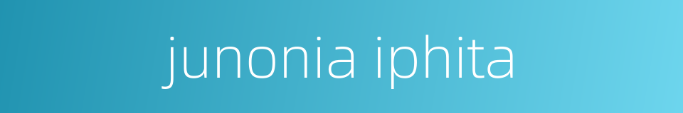 junonia iphita的同义词