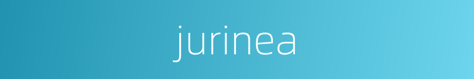 jurinea的同义词