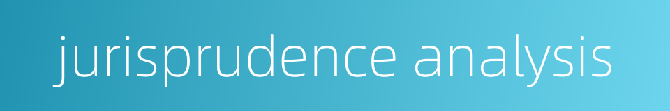 jurisprudence analysis的同义词