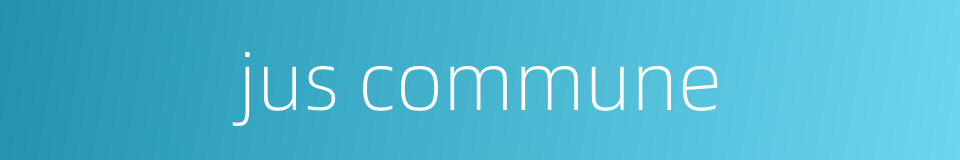jus commune的同义词