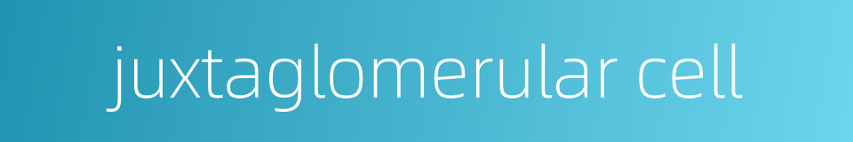 juxtaglomerular cell的同义词