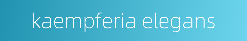 kaempferia elegans的同义词