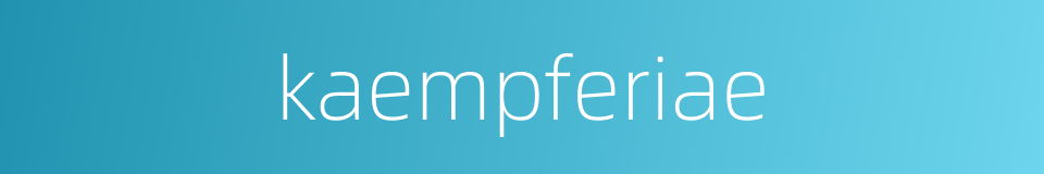kaempferiae的同义词