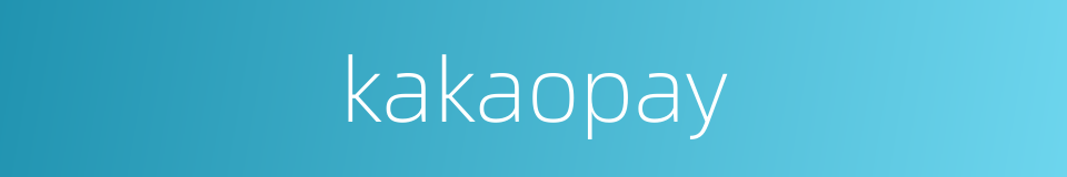kakaopay的同义词