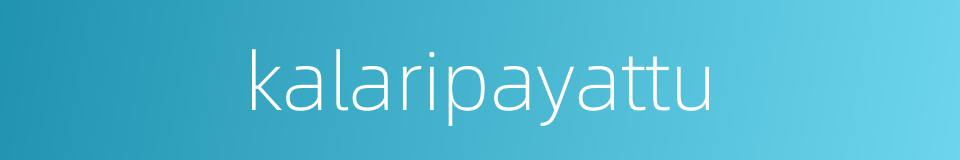 kalaripayattu的同义词