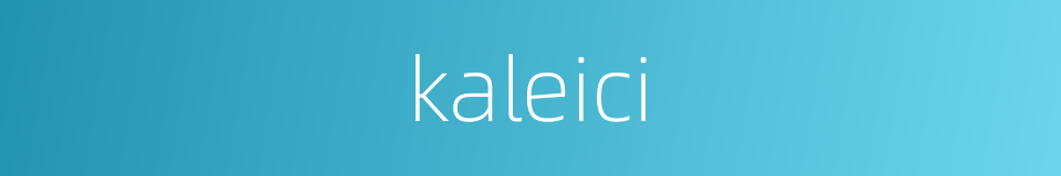 kaleici的同义词