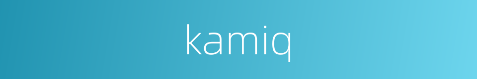 kamiq的同义词