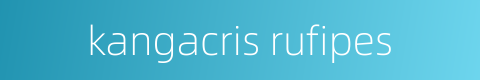 kangacris rufipes的同义词
