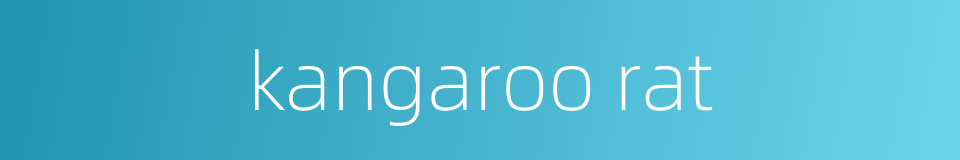 kangaroo rat的同义词