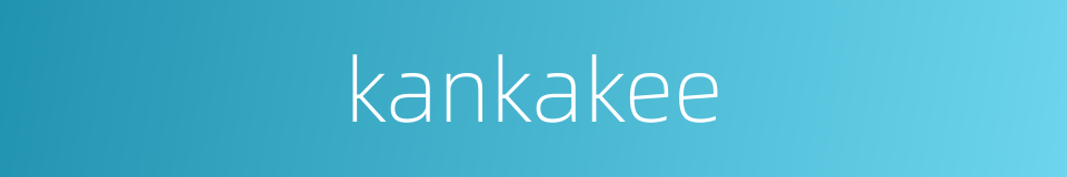 kankakee的同义词