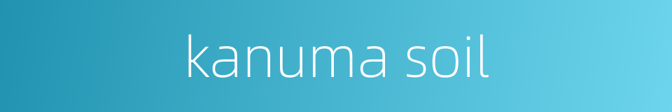 kanuma soil的同义词