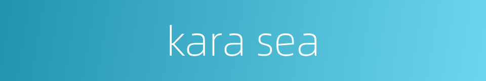 kara sea的同义词