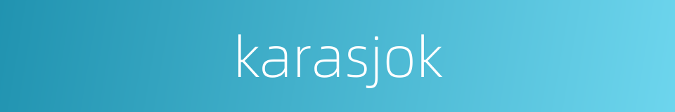 karasjok的同义词