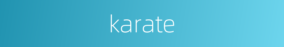 karate的同义词