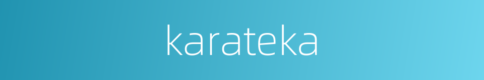 karateka的同义词