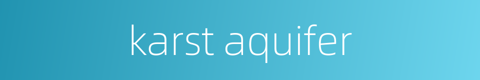karst aquifer的同义词