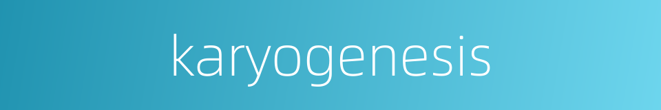 karyogenesis的同义词
