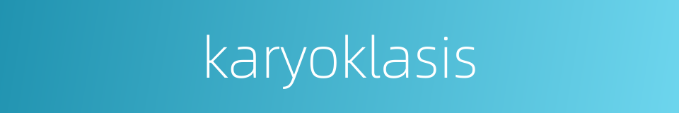karyoklasis的同义词