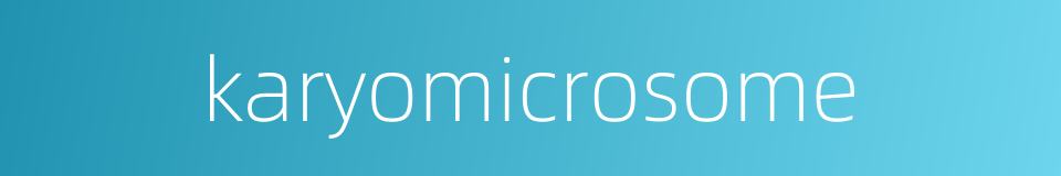 karyomicrosome的同义词