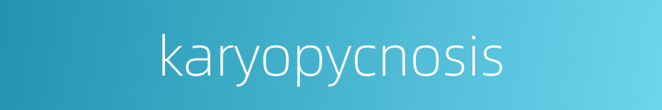 karyopycnosis的同义词