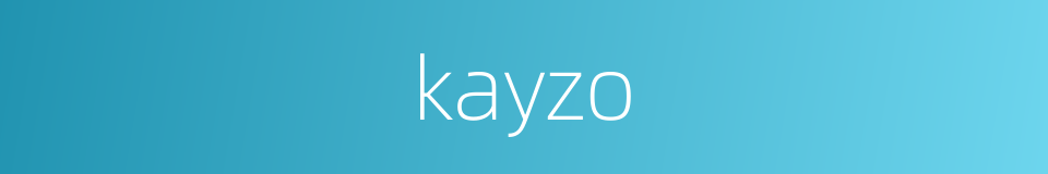 kayzo的同义词